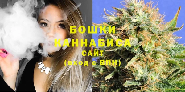 спиды Бронницы
