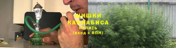 сатива Богданович