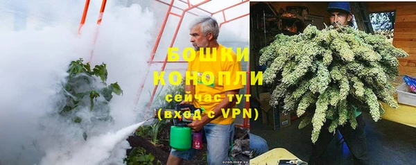 ПСИЛОЦИБИНОВЫЕ ГРИБЫ Бугульма