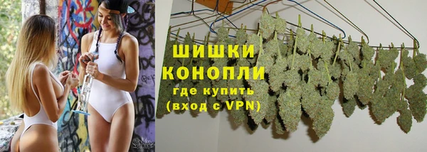 ПСИЛОЦИБИНОВЫЕ ГРИБЫ Бугульма